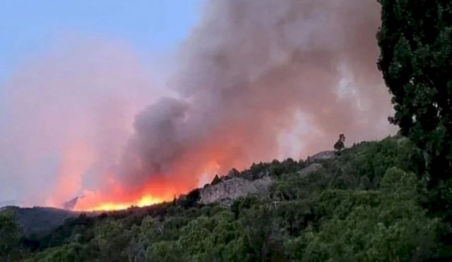 incendioalerces2