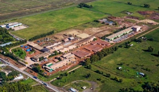 losaolava2