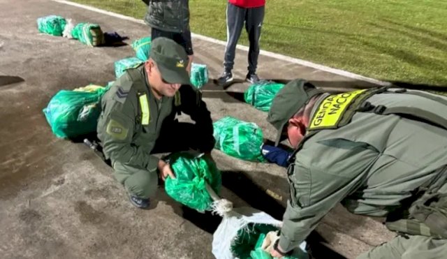  Incautan más de 200 kg de marihuana en tres operativos
